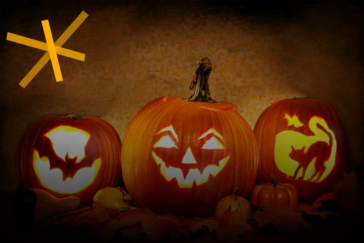 Three carved pumpkins placed on a surface adorned with autumn leaves and small gourds